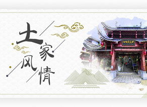 动景网 专业的动景门户