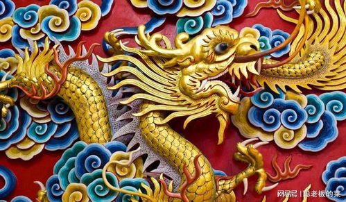 龙在西方有什么象征意义 中西方的龙文化, 有什么不同 你了解吗